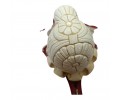 Block Meerschaum Flower Soul Pipe