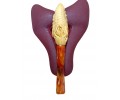 Block Meerschaum Predatory Eagle Claw Pipe Block Meerschaum Predatory Eagle Claw Pipe