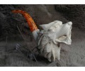 Block Meerschaum Wolf Pipe
