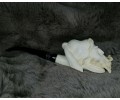 Block Meerschaum Pirates Pipe