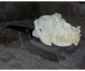 Block Meerschaum Pirates Pipe
